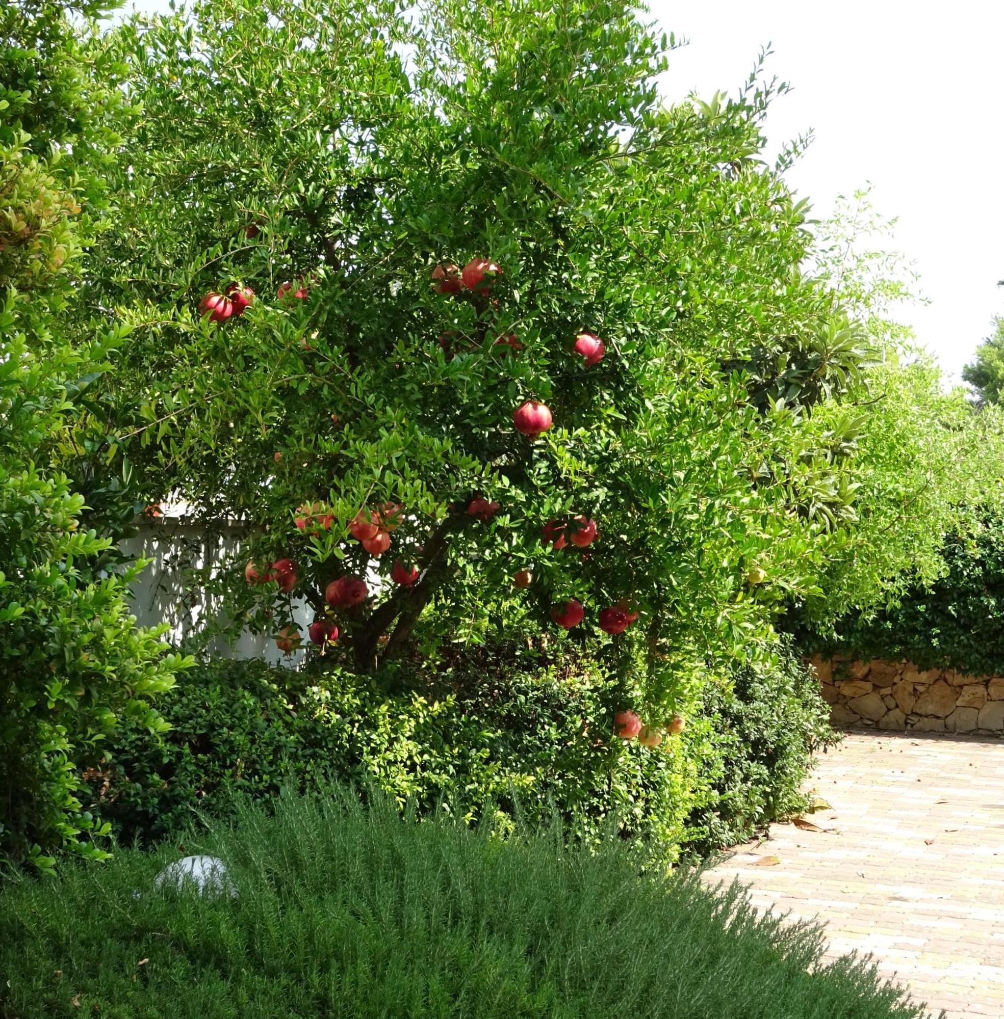 Il Melograno Villa Sannicola Exterior photo
